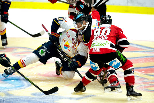 Djurgårdens Markus Ljungh