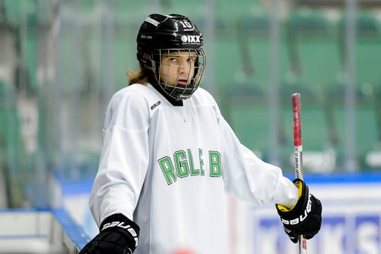Bläddra bland fler bilder av Ishockey, SHL, Rögle Träning