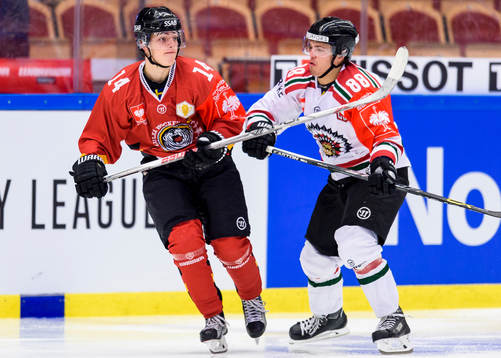 Luleås Anton Toolanen och Frölundas Andreas Johnson