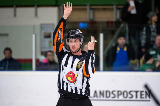 Domare Patric Bjälkander