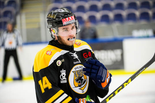 Panterns Robin Söderqvist