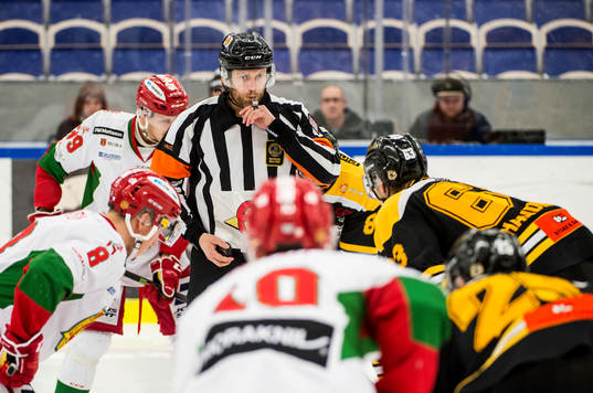 Domaren Robin Karlsson