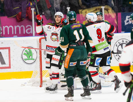 Malmö Redhawks  Björn Svensson  jublar