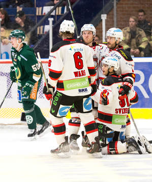 Malmö Redhawks spelare jublar