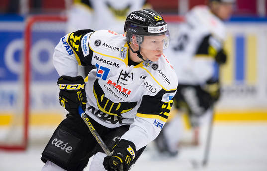 Västerås Andreas Borgman