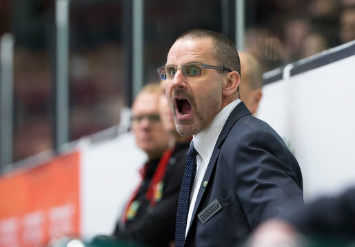Färjestads tränare Tommy Samuelsson skriker i båset