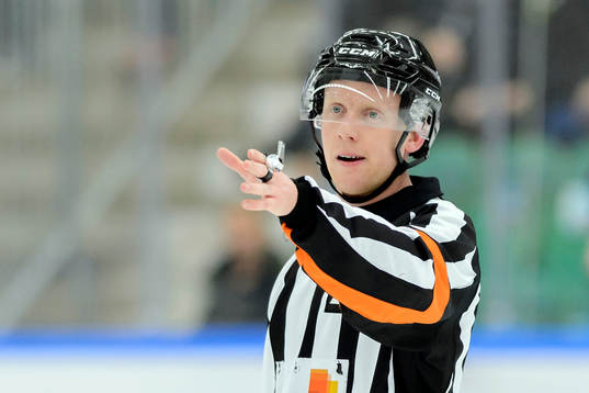 Domare Mikael Holm