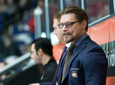 Malmö Redhawks  tränare Björn Hellkvist