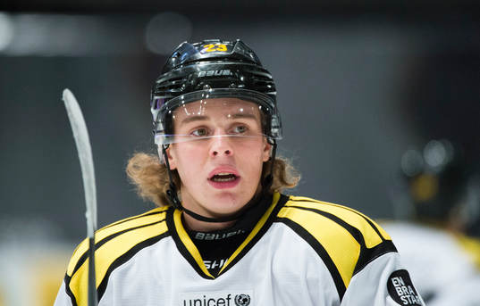 Brynäs Lucas Carlsson