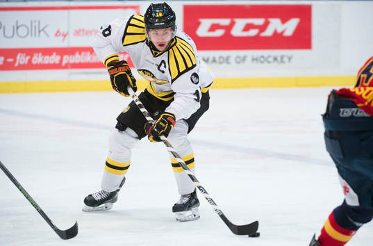 Brynäs Anton Rödin