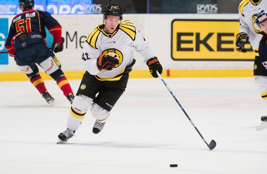 Brynäs Greg Scott