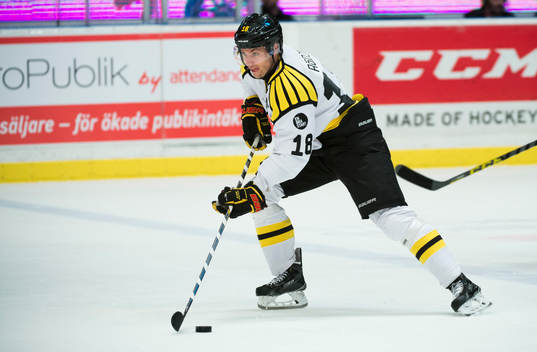 Brynäs Anton Rödin