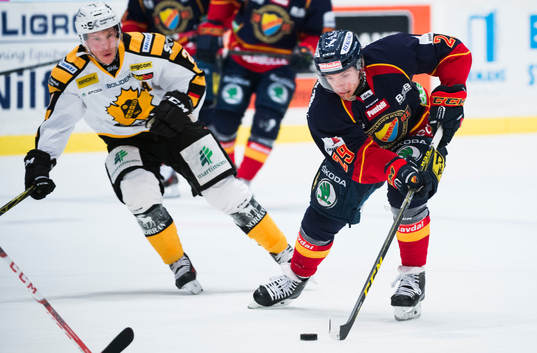 Djurgårdens Matt Anderson och Skellefteås Erik Forssell