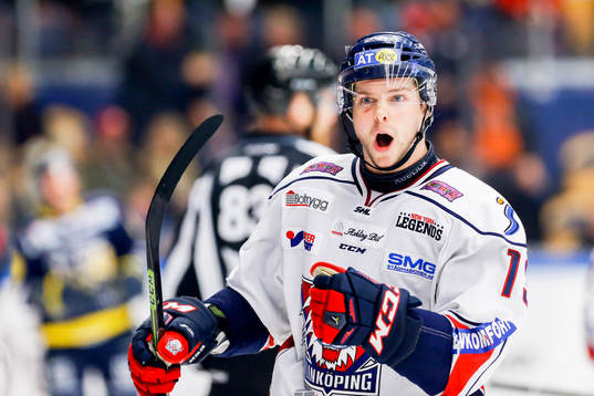 Linköpings Andrew Gordon jublar