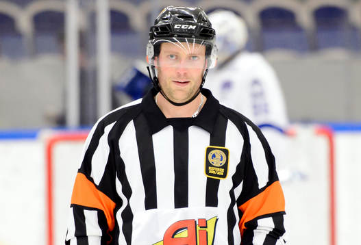 Domare Robin Karlsson