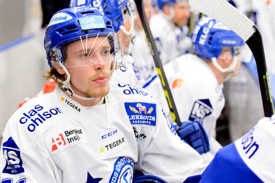 Leksands Brock Montpetit