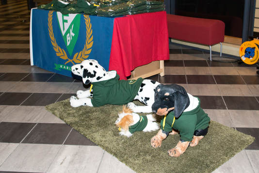 Färjestad souvereniershop säljer hundtäcken
