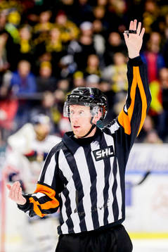 Domaren Mikael Nord
