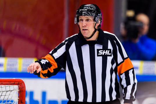 Domare Morgan Johansson