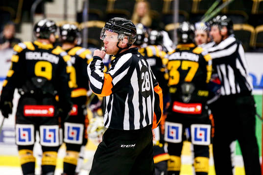 Domare Mikael Holm