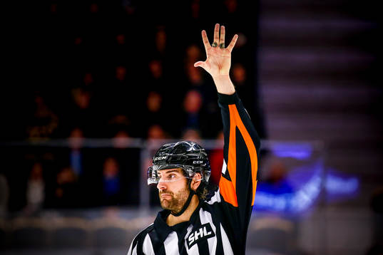 Domare Mikael Sjöqvist
