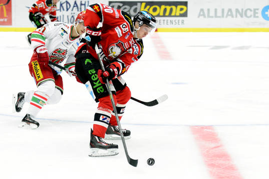 Malmö Redhawks  Henrik Hetta