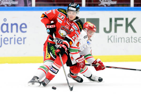 Malmö Redhawks  Henrik Hetta