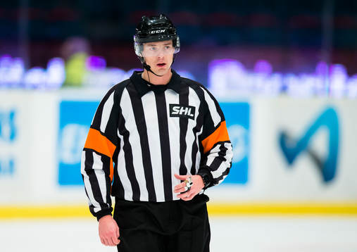 Domare Mikael Andersson