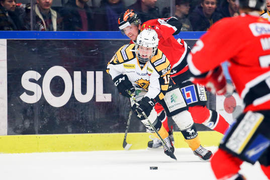 Skellefteås Tim Söderlund