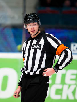 Domare Mikael Andersson