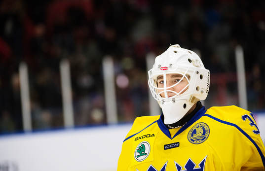 Sveriges målvakt Erik Källgren