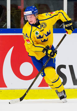 Sveriges Jens Lööke