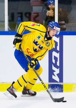 Sveriges Marcus Pettersson