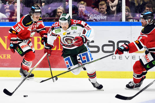 Bläddra bland fler bilder av Ishockey, SHL, Malmö Redhawks - Frölunda