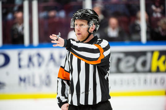 Domare Mikael Holm