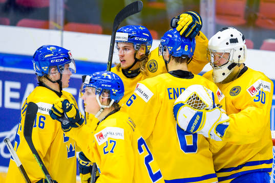 Sveriges spelare jublar med målvakten Linus Söderström