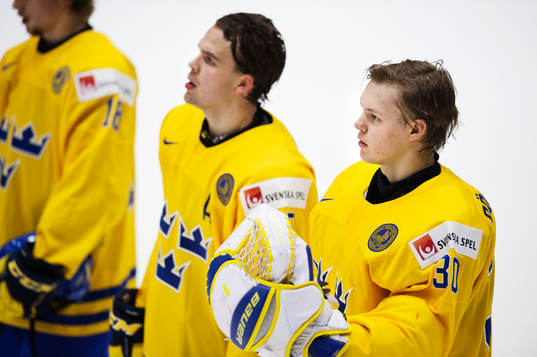 Sveriges målvakt Linus Söderström