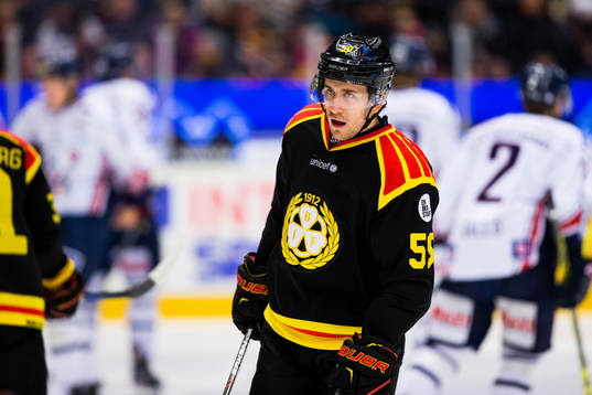 Brynäs Sebastian Enterfeldt