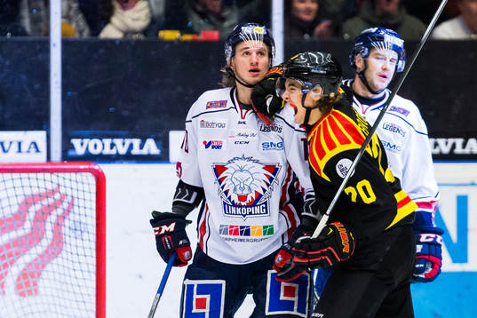 Linköpings Jacob Lilja deppar och Brynäs Adam Brodecki