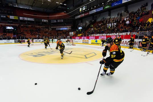 Brynäs Anssi Salmela och Sebastian Enterfeldt