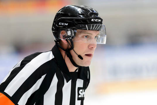 Domare Morgan Johansson