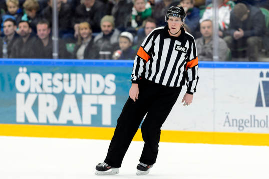 Domare Morgan Johansson