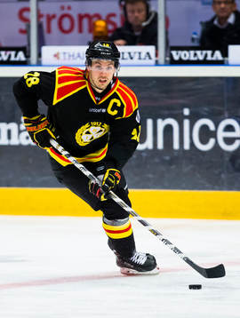 Brynäs Anton Rödin