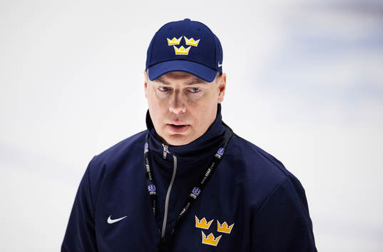 Förbundskapten Rikard Grönborg