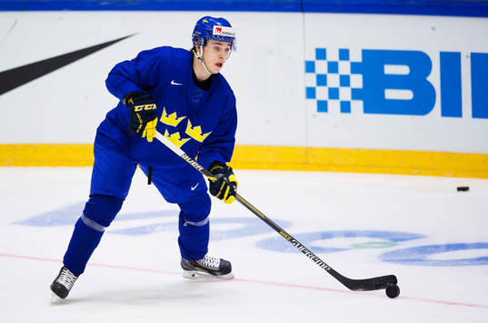 Dmytro Timashov