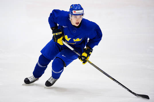 Dmytro Timashov