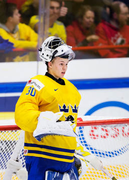 Sveriges målvakt Linus Söderström