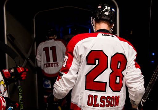 Malmö Redhawks Joey Tenute och Jens Olsson gör entré