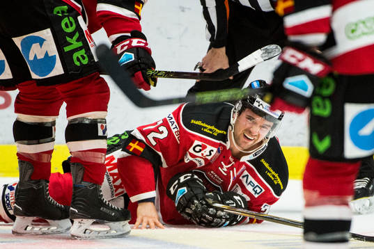 Malmö Redhawks T.J. Galiardi skadad