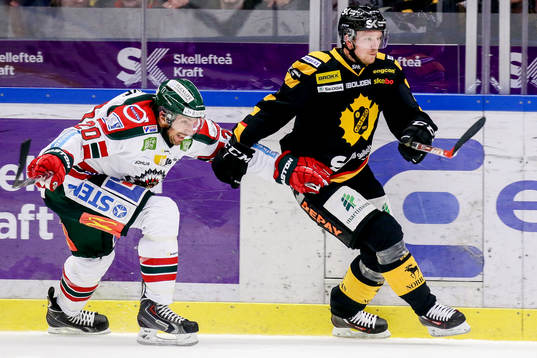 Skellefteås Tim Heed